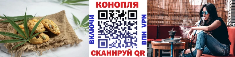 Купить где Ельня Cannafood конопля