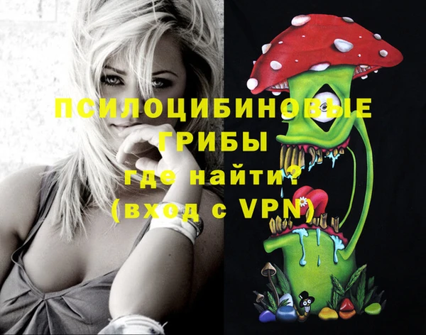 молекула духа Гусь-Хрустальный