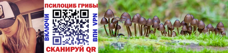 Купить  Ельня  Галлюциногенные грибы Magic Shrooms 