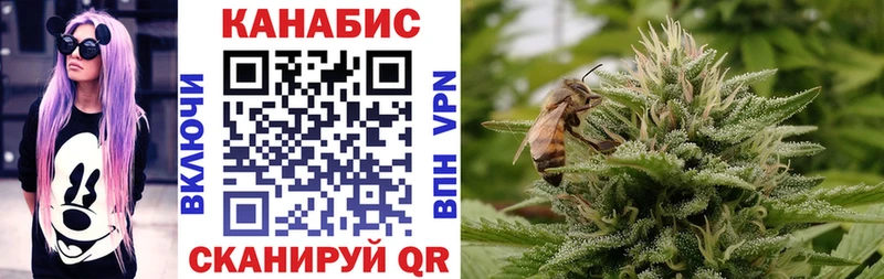 Бошки марихуана Amnesia  Купить где  Ельня 
